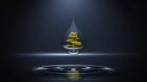 golden tree in a water bubble